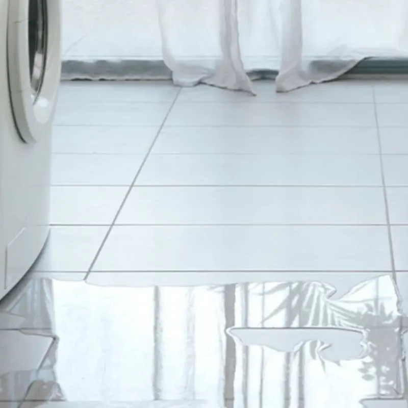 Appliance Leak Cleanup in Saint Paul, MN